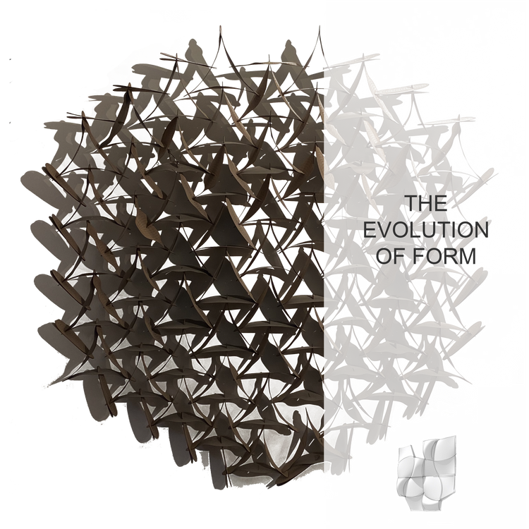 Evolution of form